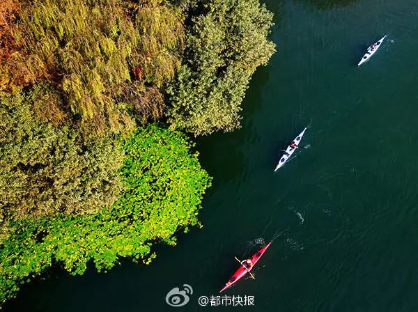 西溪湿地的旅游攻略_西溪湿地视频_西溪湿地景观