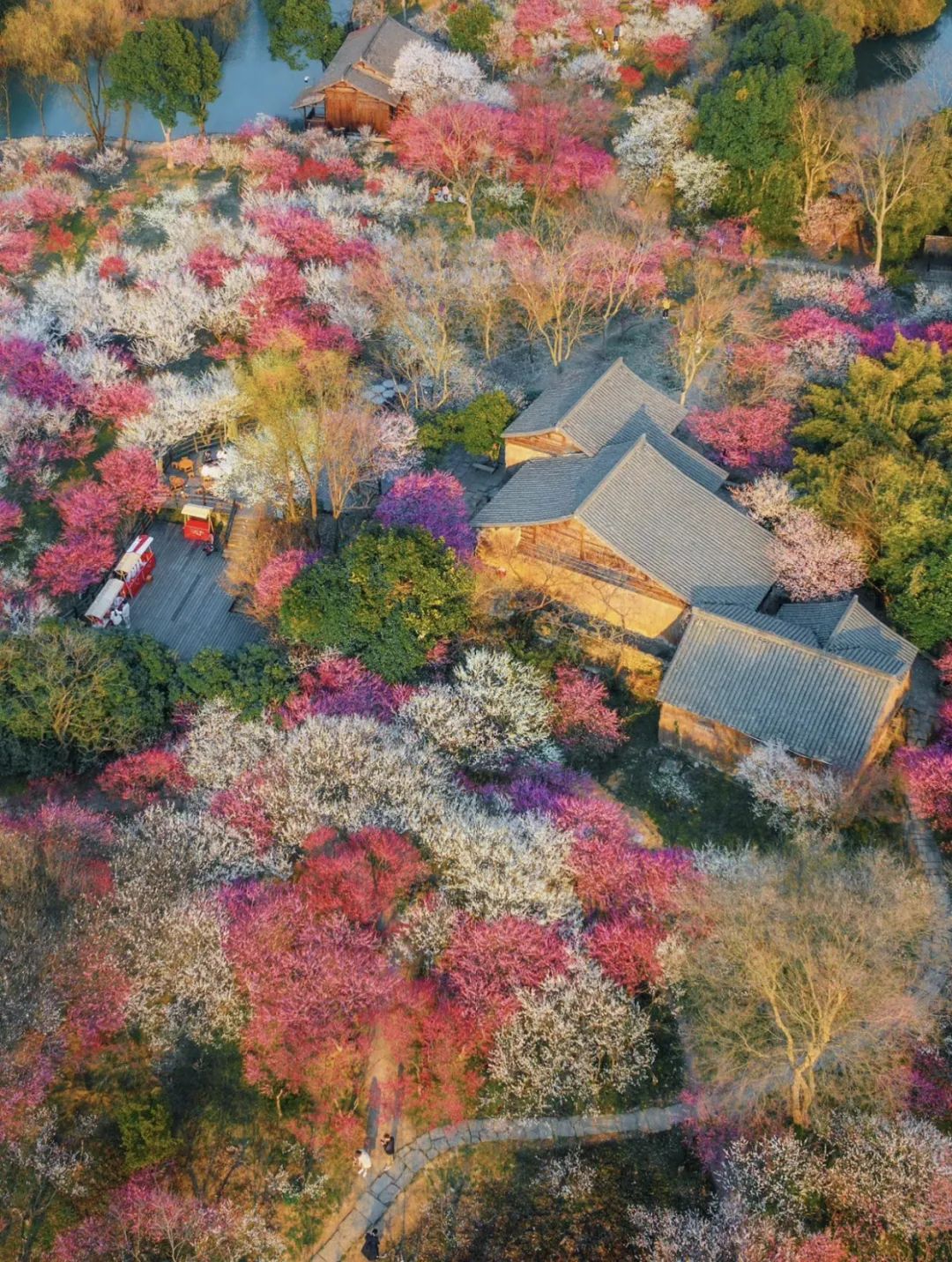 西溪湿地十景_西溪湿地定位_西溪湿地的旅游攻略