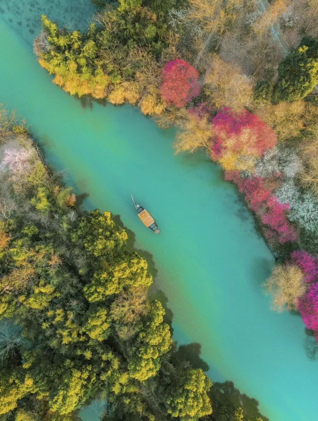 西溪湿地的旅游攻略_西溪湿地定位_西溪湿地十景