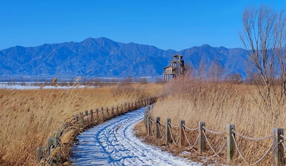 攻略湖野鸭旅游路线_野鸭湖旅游攻略_野鸭湖一日游