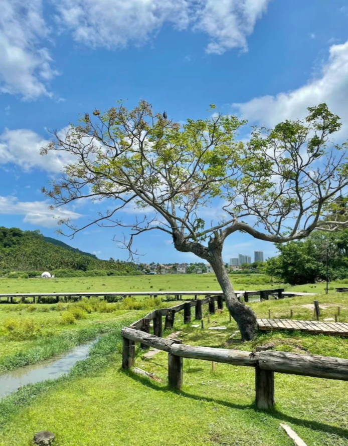 海南自助旅游多少钱_海南自助游旅游攻略_海南自助游最全攻略