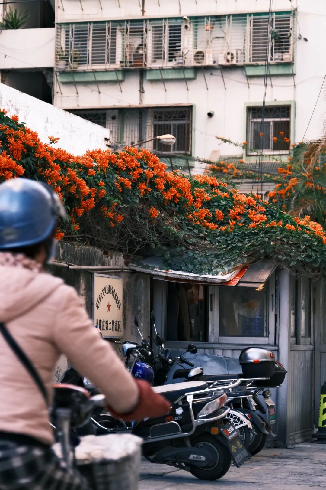 拉萨到成都景点_拉萨攻略成都旅游到哪个机场_成都到拉萨旅游攻略
