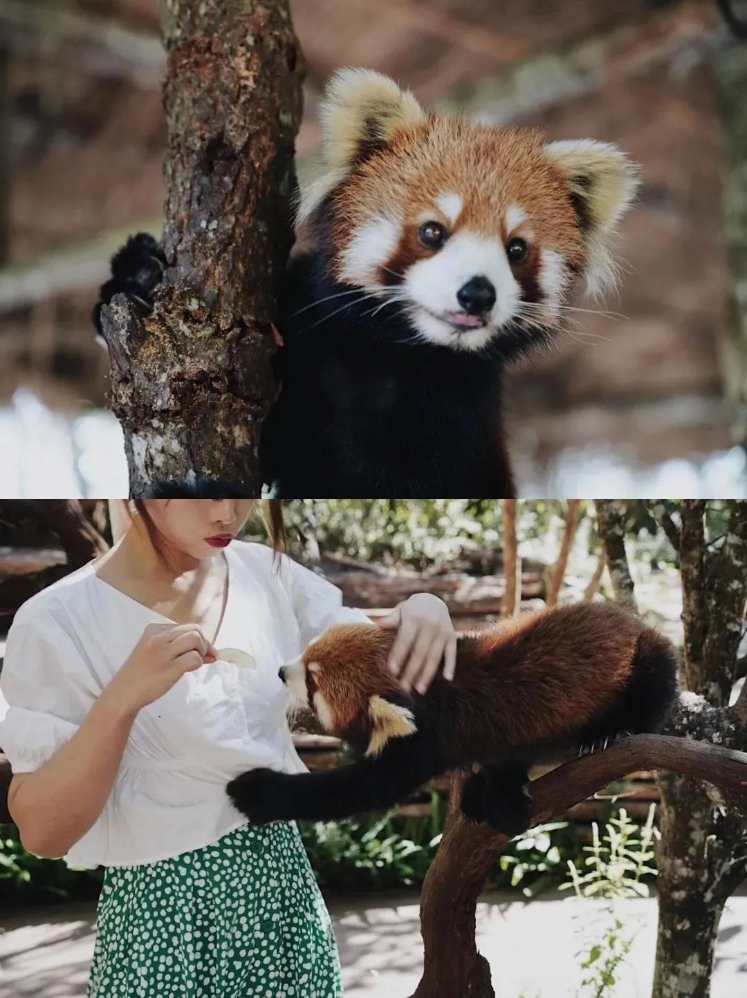 拉萨到成都景点_成都到拉萨旅游攻略_拉萨攻略成都旅游到哪个机场