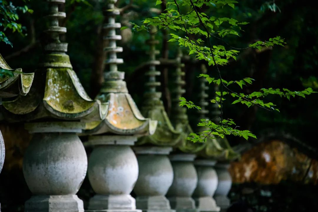 成都到拉萨旅游攻略_拉萨攻略成都旅游到哪个机场_拉萨到成都景点