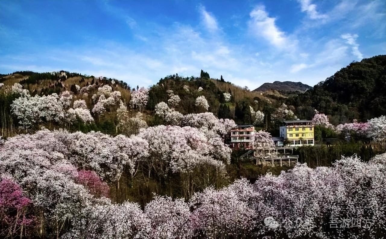 罗浮山旅游攻略绵阳_绵阳罗浮山图片_绵阳罗浮山风景区门票价格