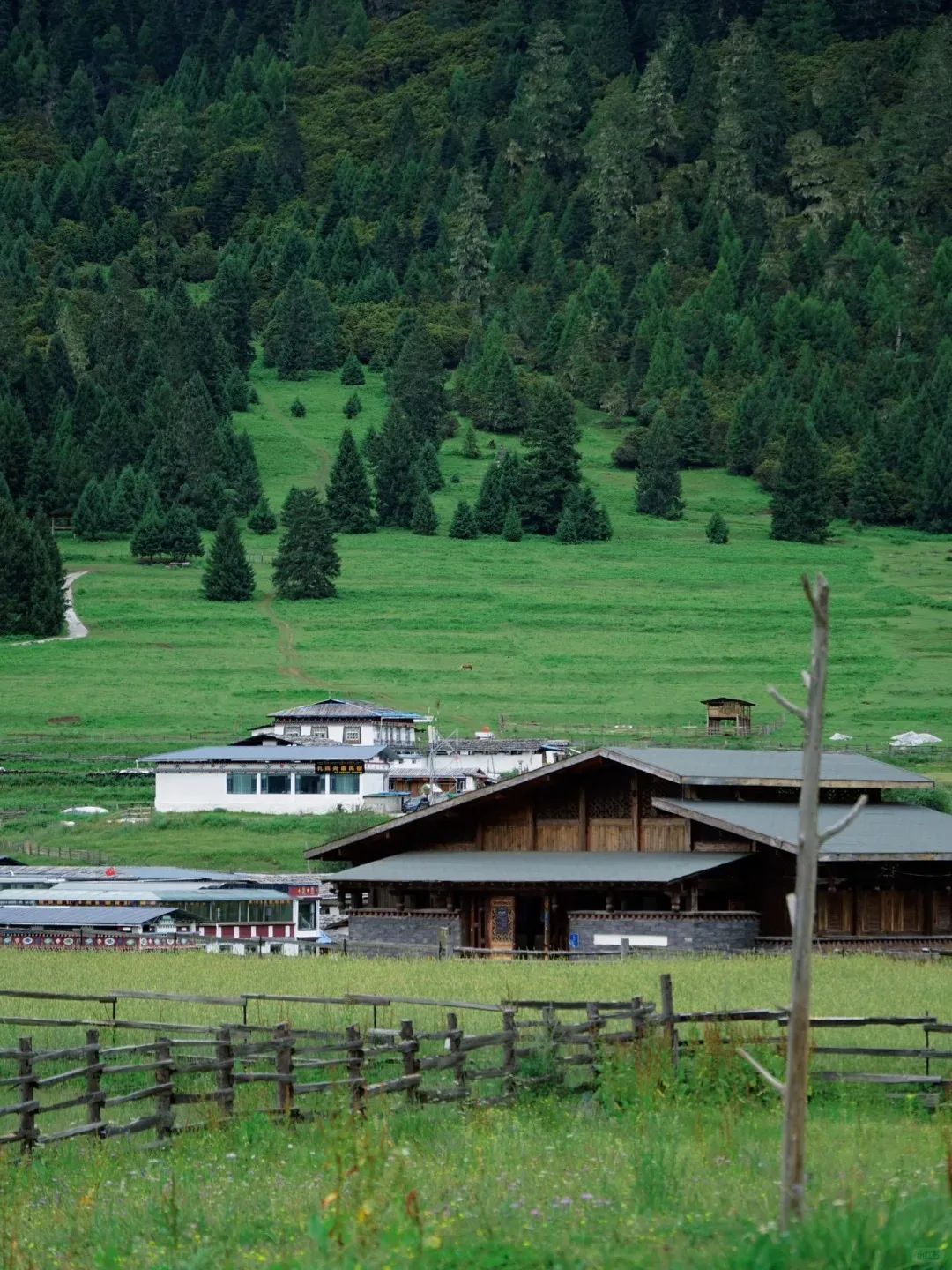 拉萨攻略成都旅游到哪里_拉萨攻略成都旅游到哪里好玩_成都到拉萨旅游攻略