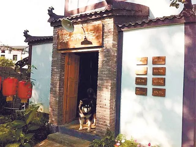 航拍万峰林_万峰林简介800_万峰林旅游攻略