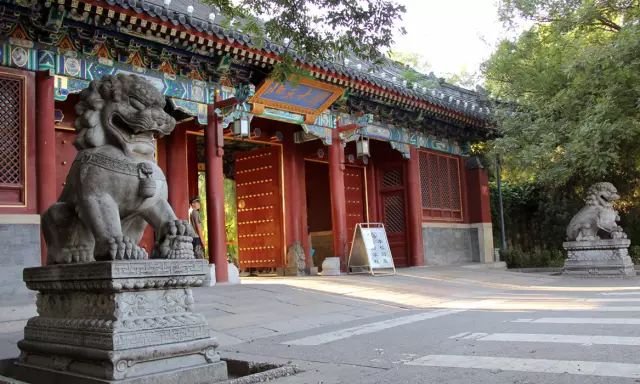 野鸭湖好玩吗_野鸭湖景点_野鸭湖旅游攻略