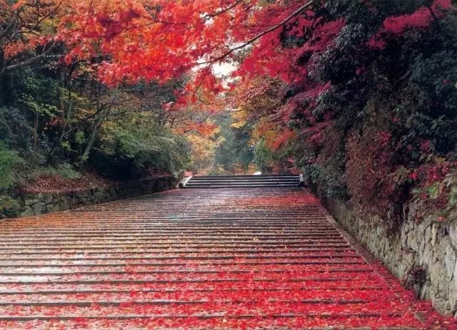 野鸭湖好玩吗_野鸭湖景点_野鸭湖旅游攻略