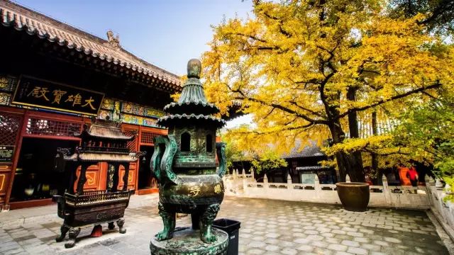 野鸭湖旅游攻略_野鸭湖景点_野鸭湖好玩吗