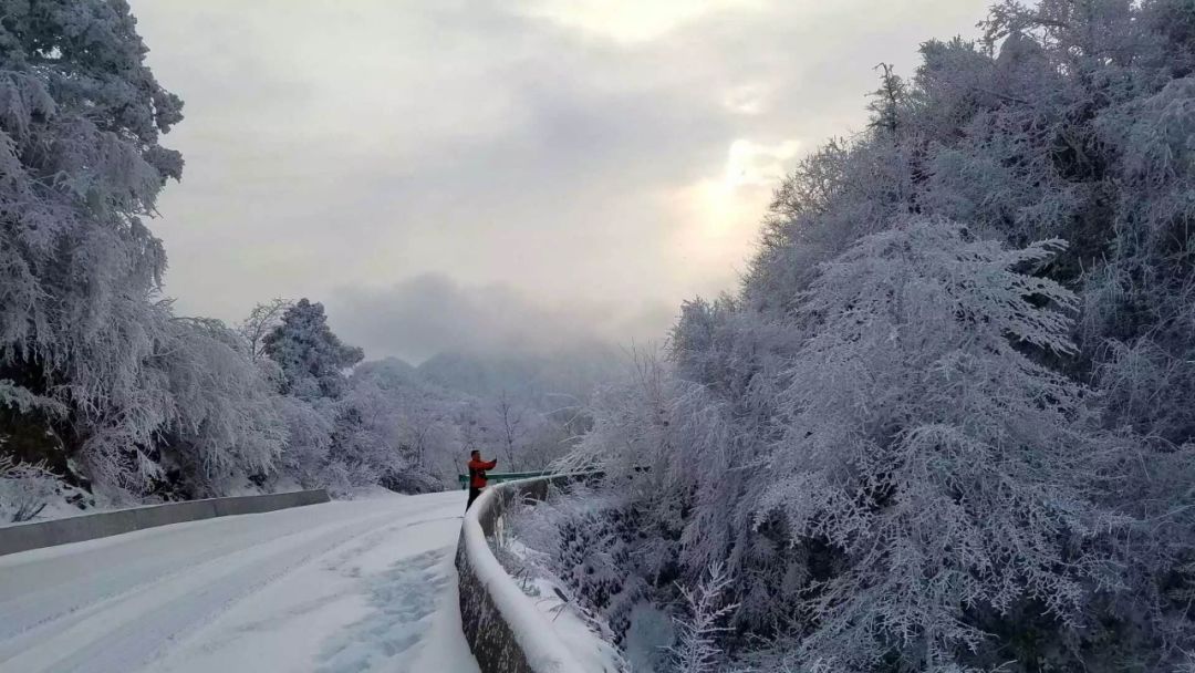 峨眉山七里坪国际旅游度假区_峨眉山七里坪旅游攻略_峨眉山七里坪一日游攻略