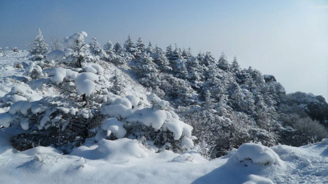 峨眉山七里坪一日游攻略_峨眉山七里坪国际旅游度假区_峨眉山七里坪旅游攻略