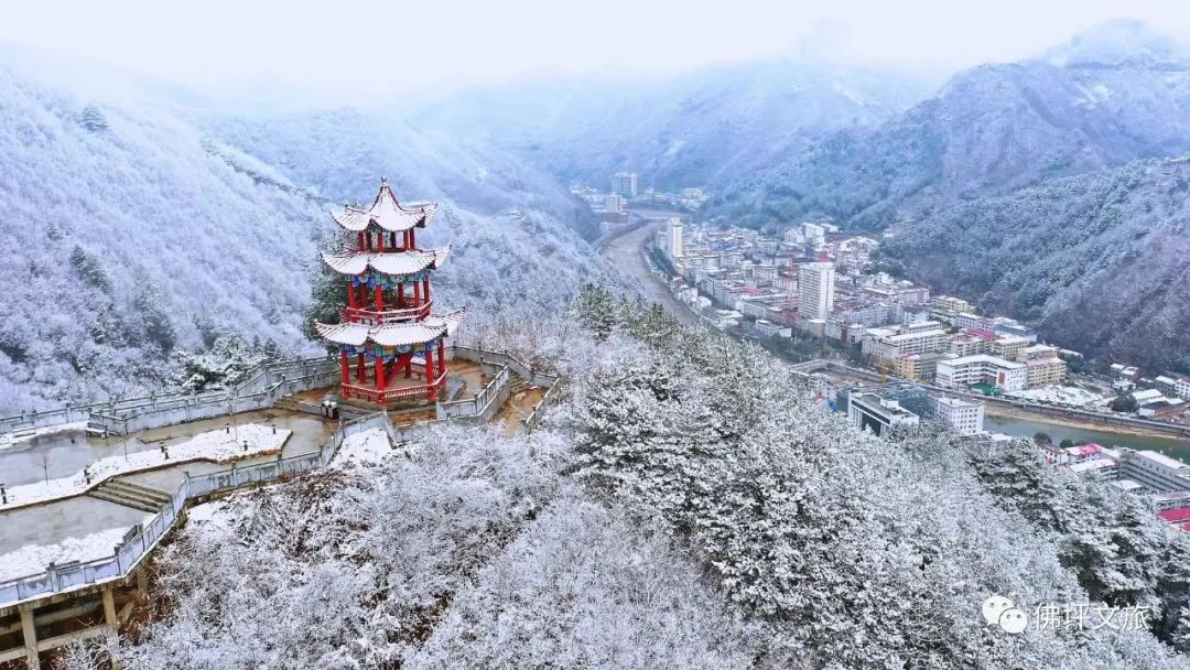 佛坪熊猫谷旅游攻略_佛坪的熊猫谷玩需要多长时间_佛坪熊猫谷一般玩几个小时