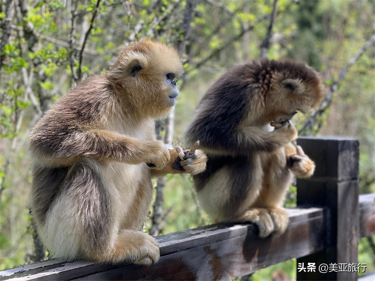 坐游轮好玩吗_坐豪华游轮旅游攻略_想坐豪华游轮旅游在哪里坐