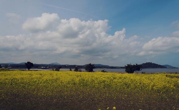 韩国旅游胜地济州岛_韩国济州岛五日游_韩国济州岛四天游旅游攻略