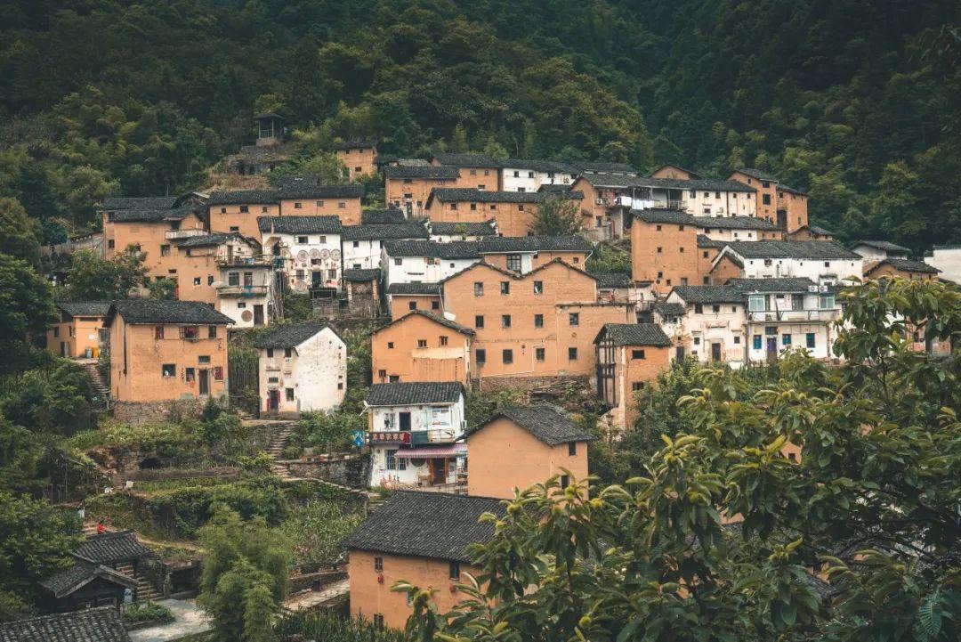 鹞落坪自驾游旅游攻略_鹞落坪景点介绍_鹞落坪旅游攻略