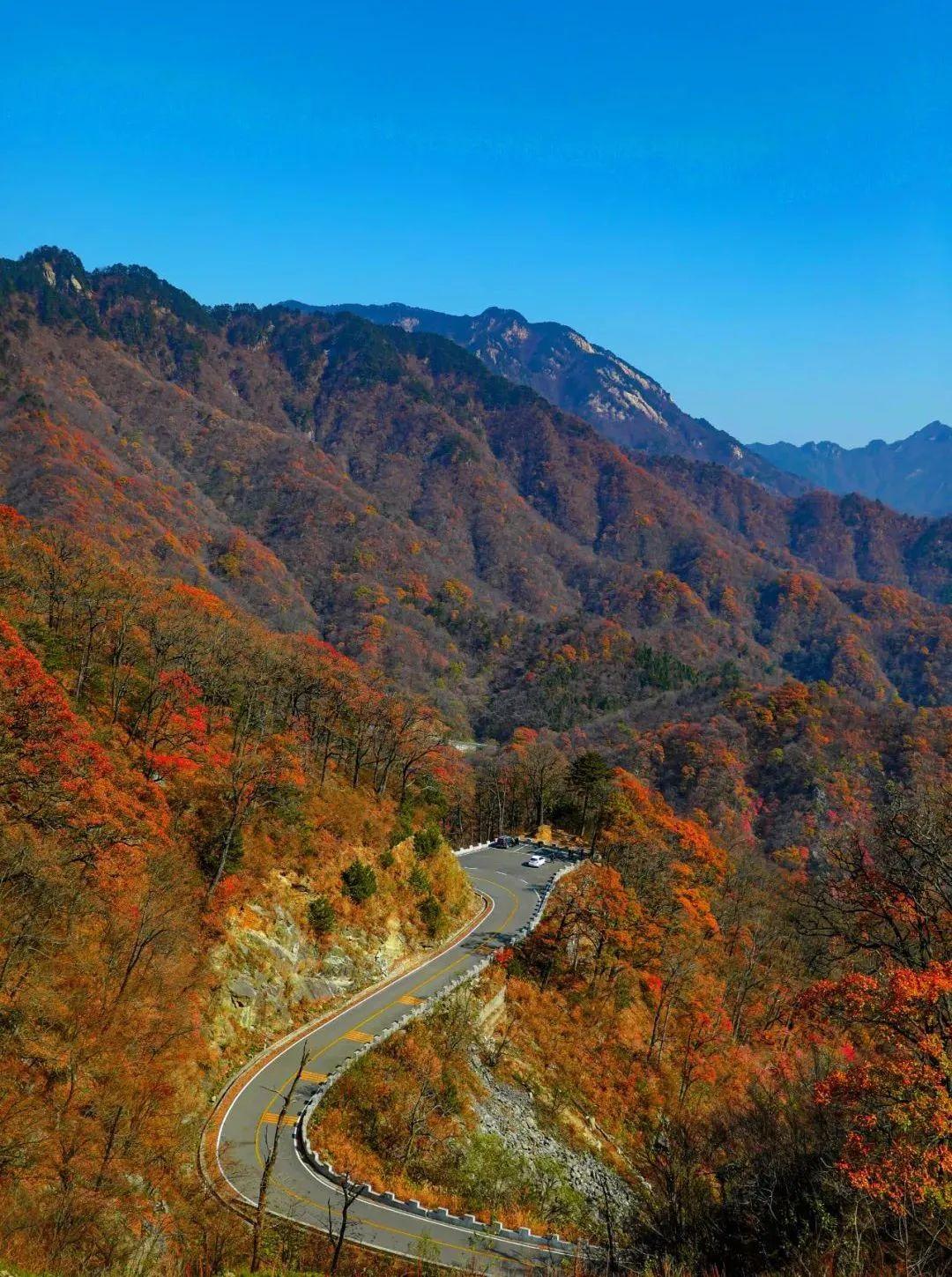 鹞落坪景点介绍_鹞落坪旅游攻略_鹞落坪自驾游旅游攻略