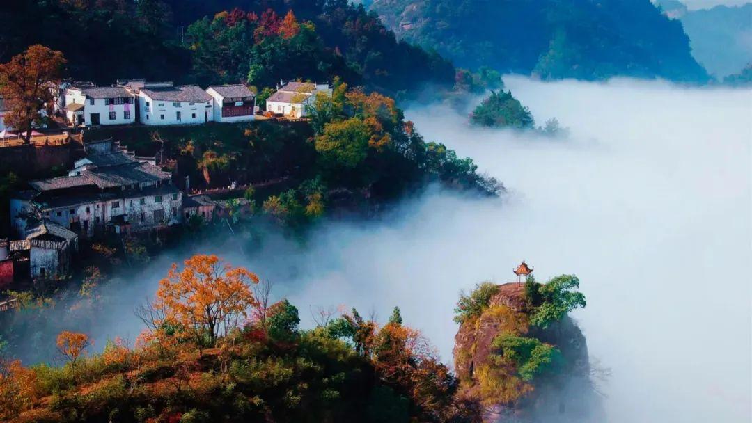 鹞落坪自驾游旅游攻略_鹞落坪景点介绍_鹞落坪旅游攻略