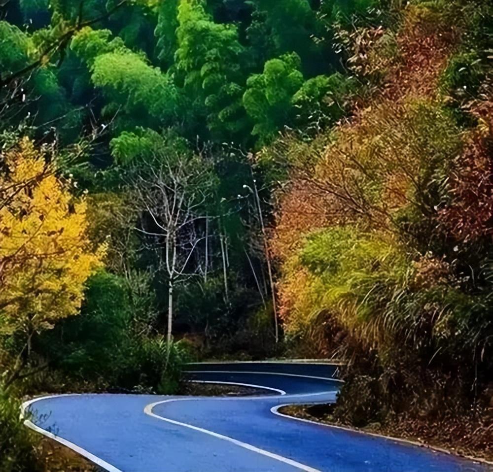 鹞落坪景点介绍_鹞落坪自驾游旅游攻略_鹞落坪旅游攻略