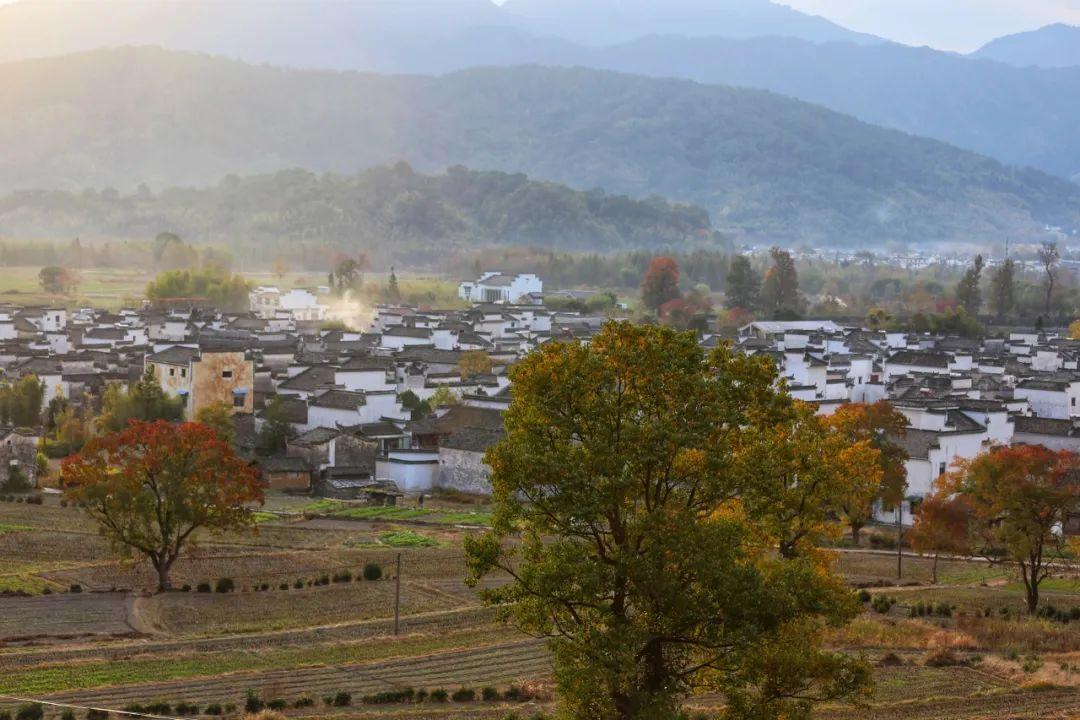 鹞落坪景点介绍_鹞落坪旅游攻略_鹞落坪自驾游旅游攻略