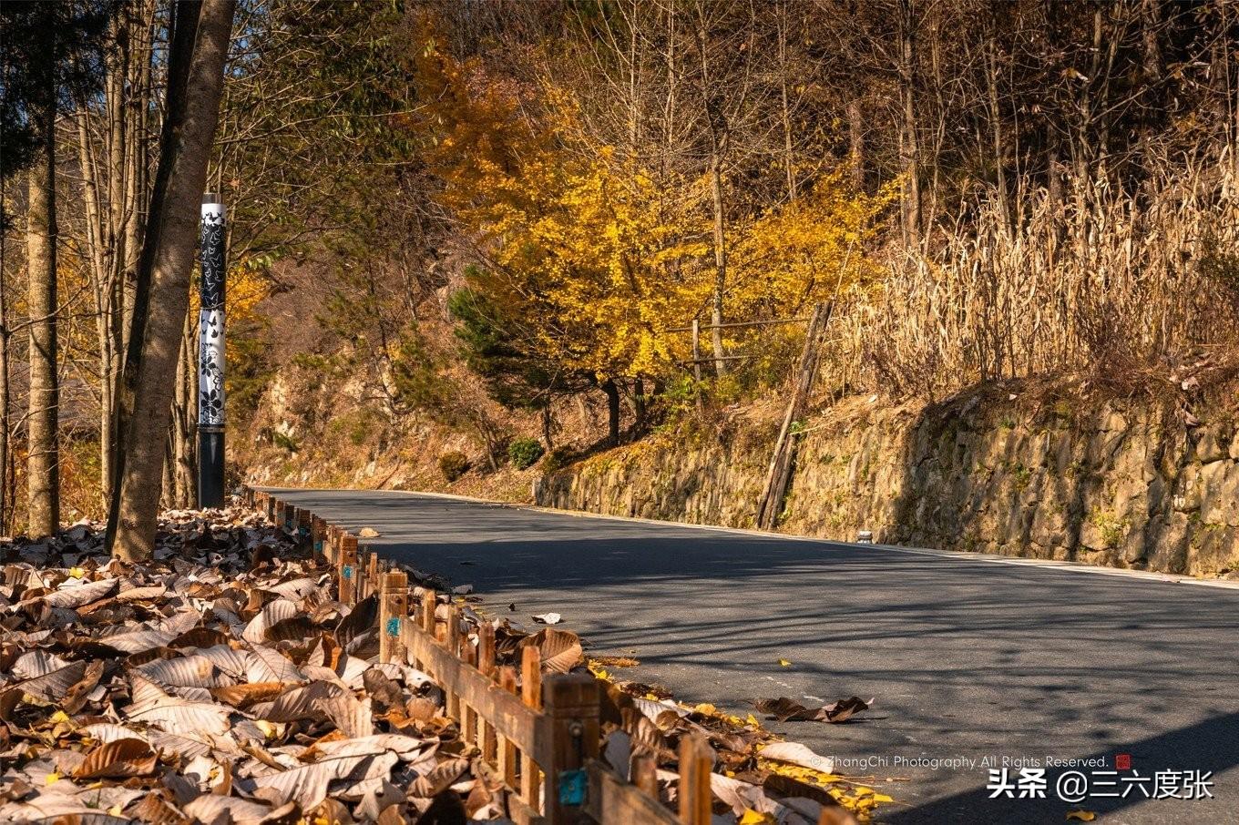 鹞落坪自驾游旅游攻略_鹞落坪景点介绍_鹞落坪旅游攻略