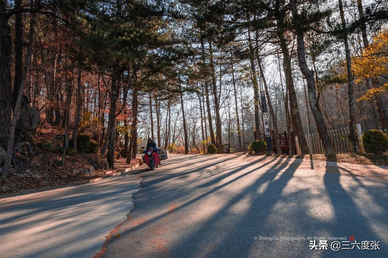 鹞落坪自驾游旅游攻略_鹞落坪旅游攻略_鹞落坪景点介绍