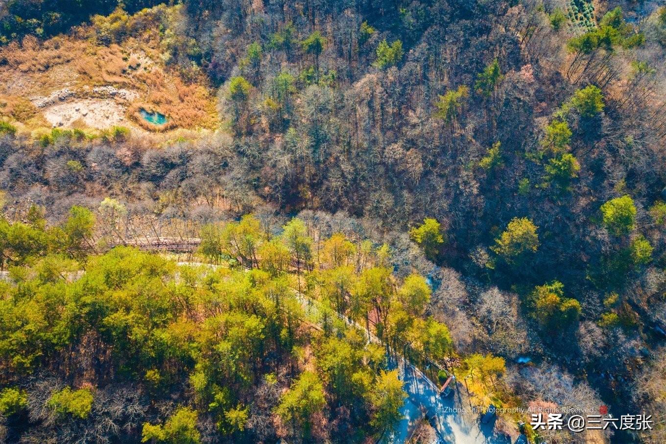 鹞落坪旅游攻略_鹞落坪景点介绍_鹞落坪自驾游旅游攻略