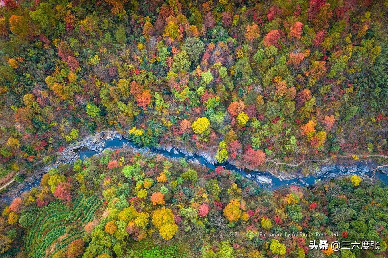 鹞落坪景点介绍_鹞落坪旅游攻略_鹞落坪自驾游旅游攻略