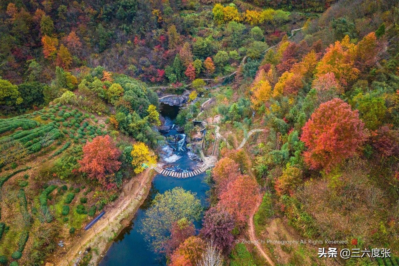 鹞落坪景点介绍_鹞落坪自驾游旅游攻略_鹞落坪旅游攻略