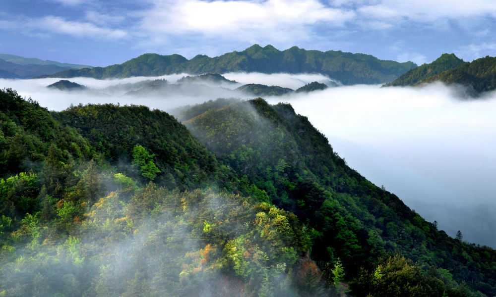 自驾井冈山旅游攻略一日游_自驾攻略井冈旅游山庄_井冈山旅游攻略自驾