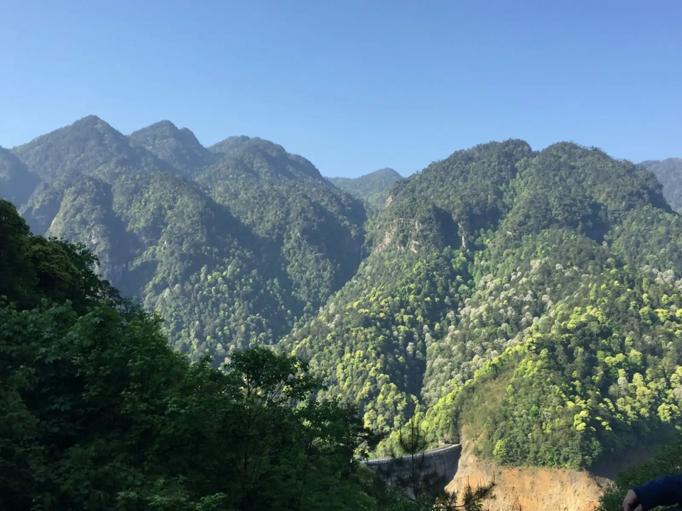 自驾攻略井冈旅游山庄_井冈山旅游攻略自驾_自驾井冈山旅游攻略一日游