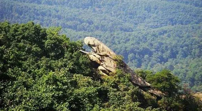 井冈山旅游攻略自驾_自驾攻略井冈旅游山庄_自驾井冈山旅游攻略一日游