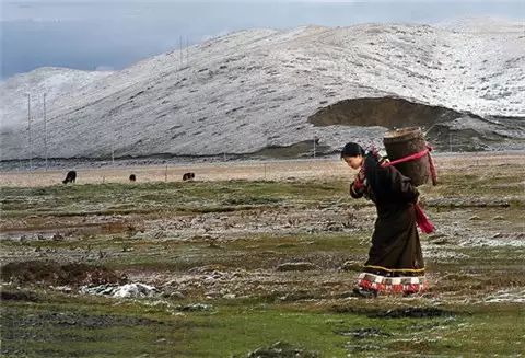 穷游西藏自玩旅游攻略_西藏旅游攻略及费用_西藏旅游省钱攻略