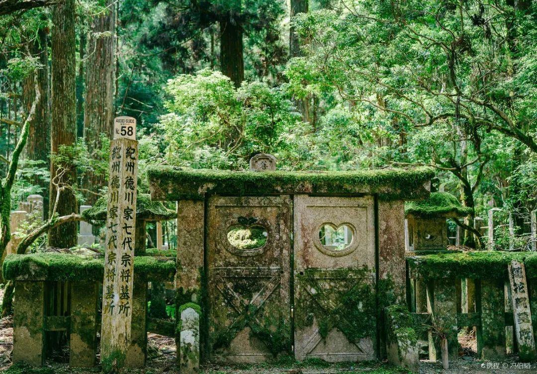 缙云山旅游攻略_缙云山旅游攻略_缙云山旅游攻略