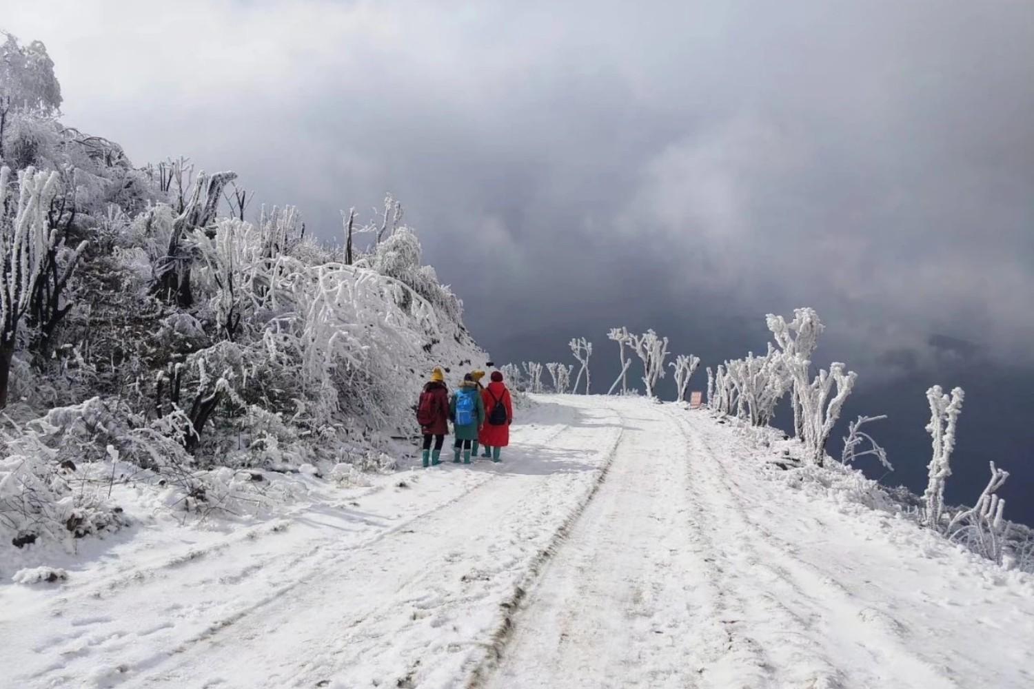 缙云山旅游攻略_缙云山旅游攻略_缙云山旅游攻略