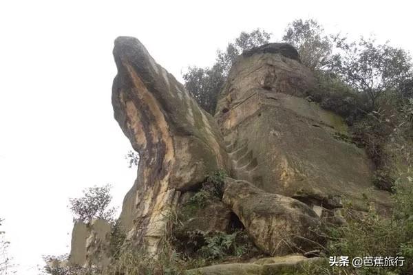 缙云山旅游攻略_缙云山旅游攻略_缙云山旅游攻略