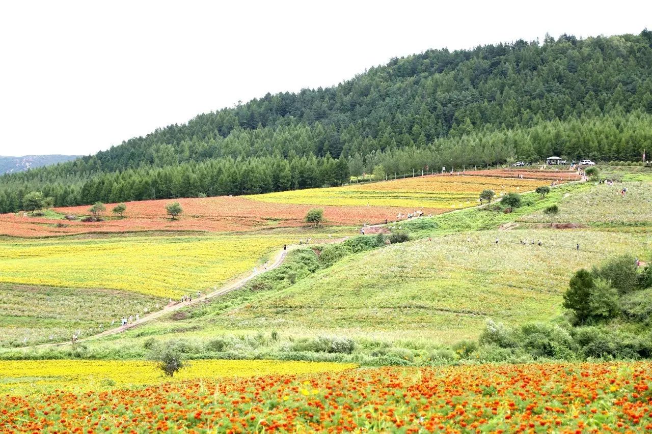 延边旅游攻略_延边旅游攻略一日游_延边旅行攻略