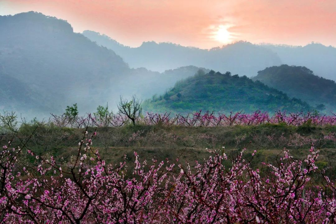 平谷游玩的旅游攻略_北京平谷的旅游景点_北京平谷旅游攻略