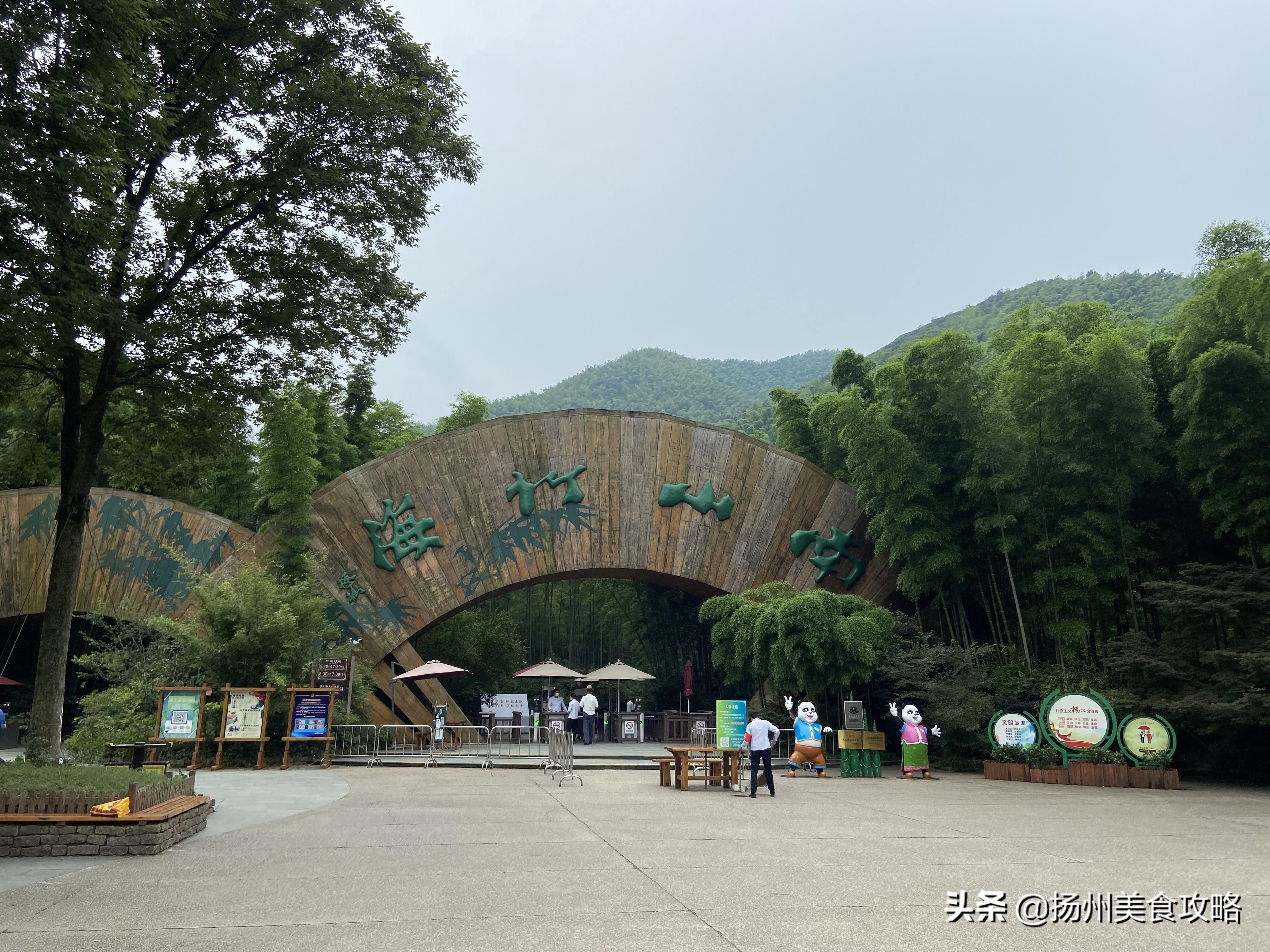 南山攻略旅游竹海天目湖路线_天目湖南山竹海旅游攻略_南山竹海天目湖