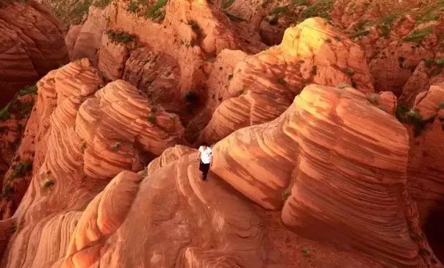 平遥古城旅游攻略自驾路线_自驾车平遥古城旅游攻略一日_自驾游平遥古城怎么玩