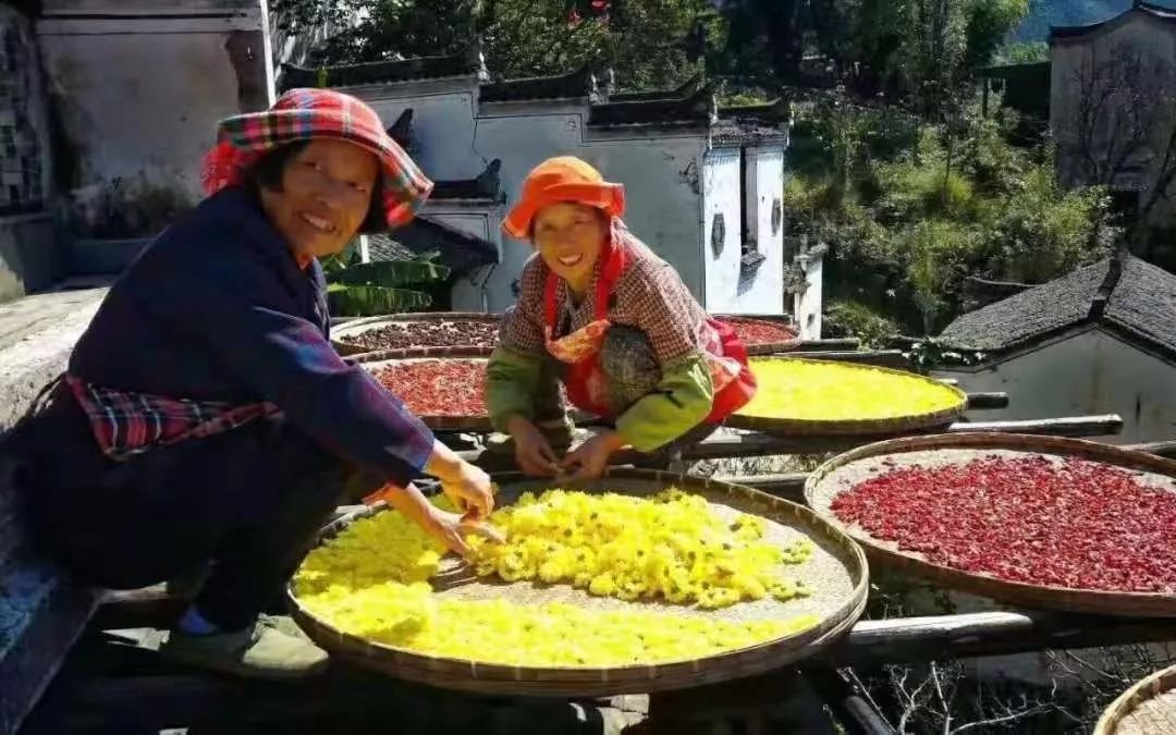 婺源秋景_婺源秋色旅游攻略_婺源秋景摄影攻略