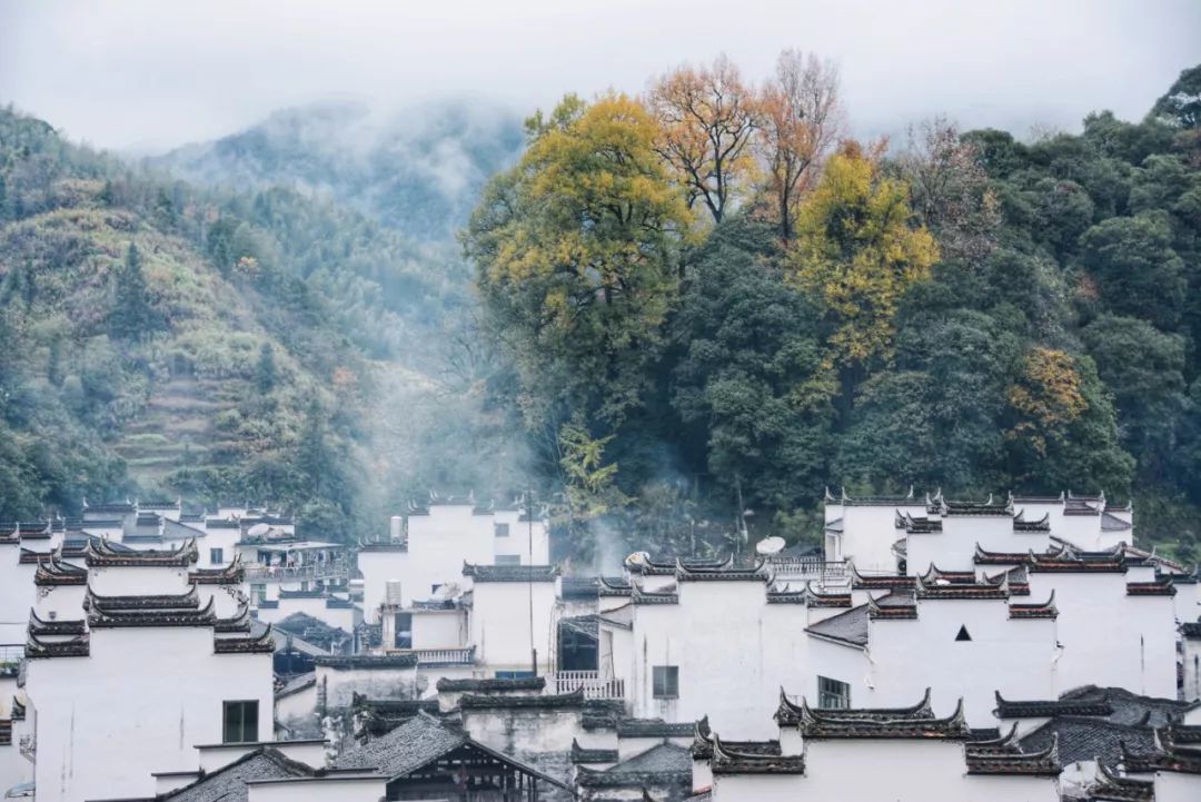 婺源秋景_婺源秋景摄影攻略_婺源秋色旅游攻略