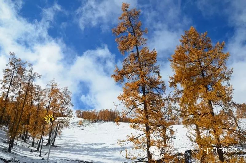 冬季攻略旅游牛背山路线_2020年牛背山攻略_牛背山冬季旅游攻略