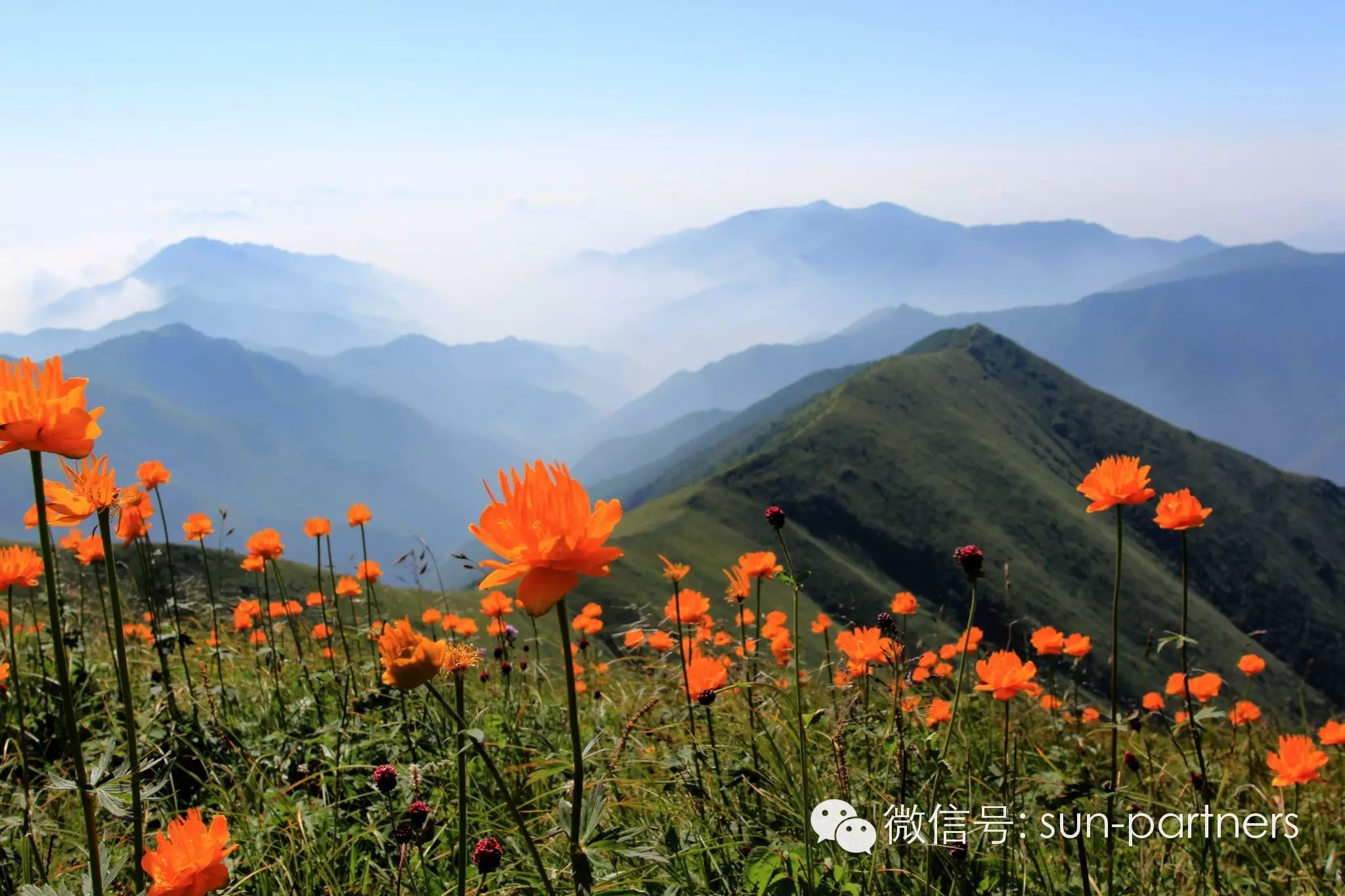 牛背山冬季旅游攻略_2020年牛背山攻略_冬季攻略旅游牛背山路线