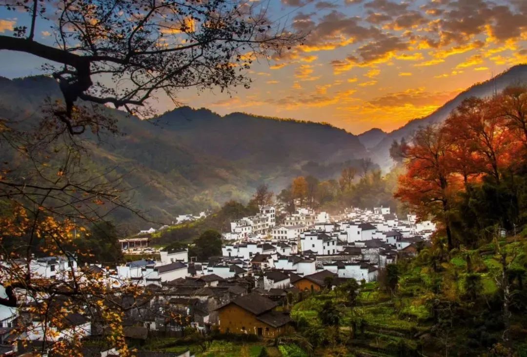 婺源秋天景色_婺源秋色最佳观赏时间2018_婺源秋色旅游攻略