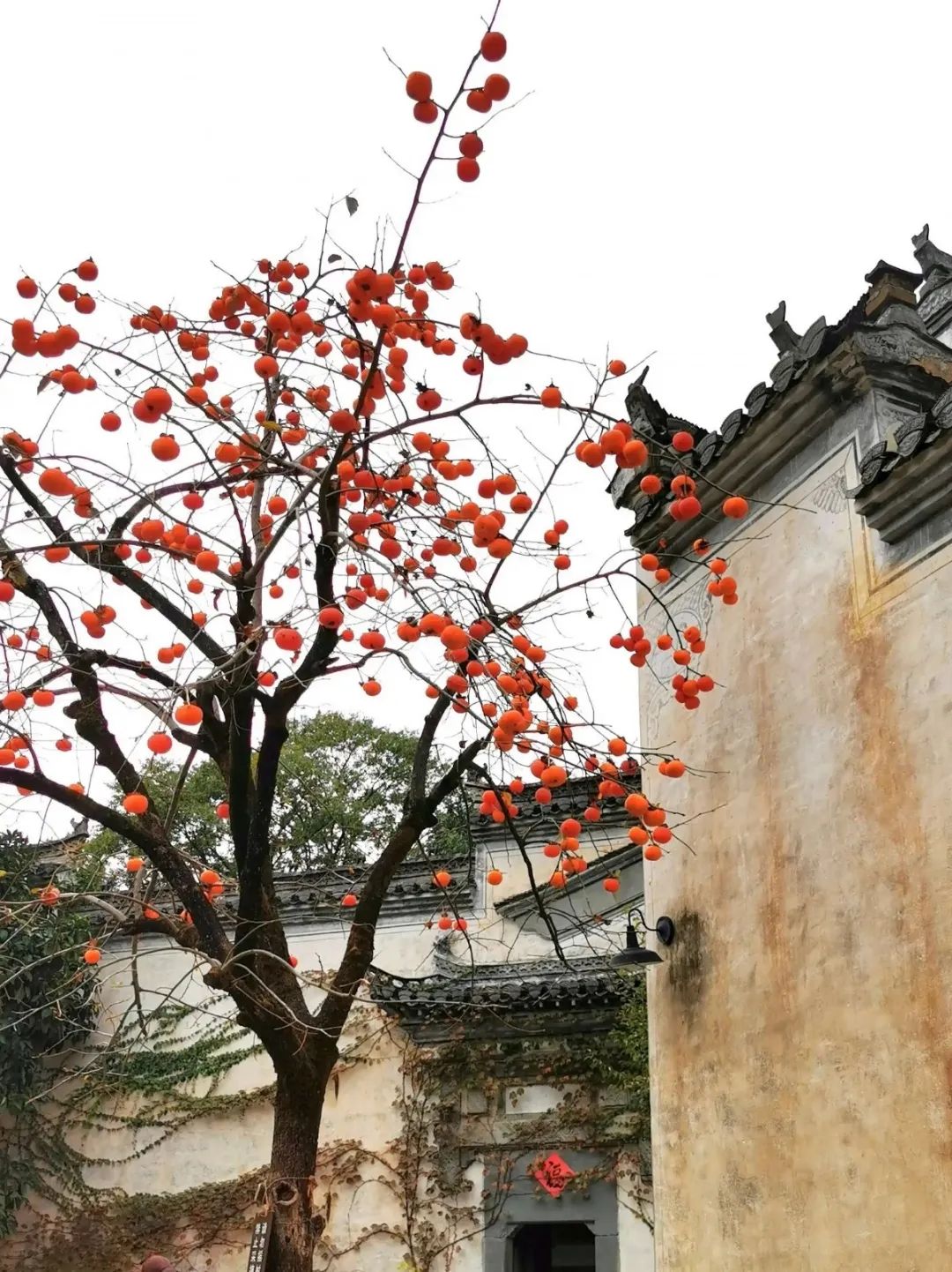 婺源秋色旅游攻略_婺源秋色最佳观赏时间2018_婺源秋天景色