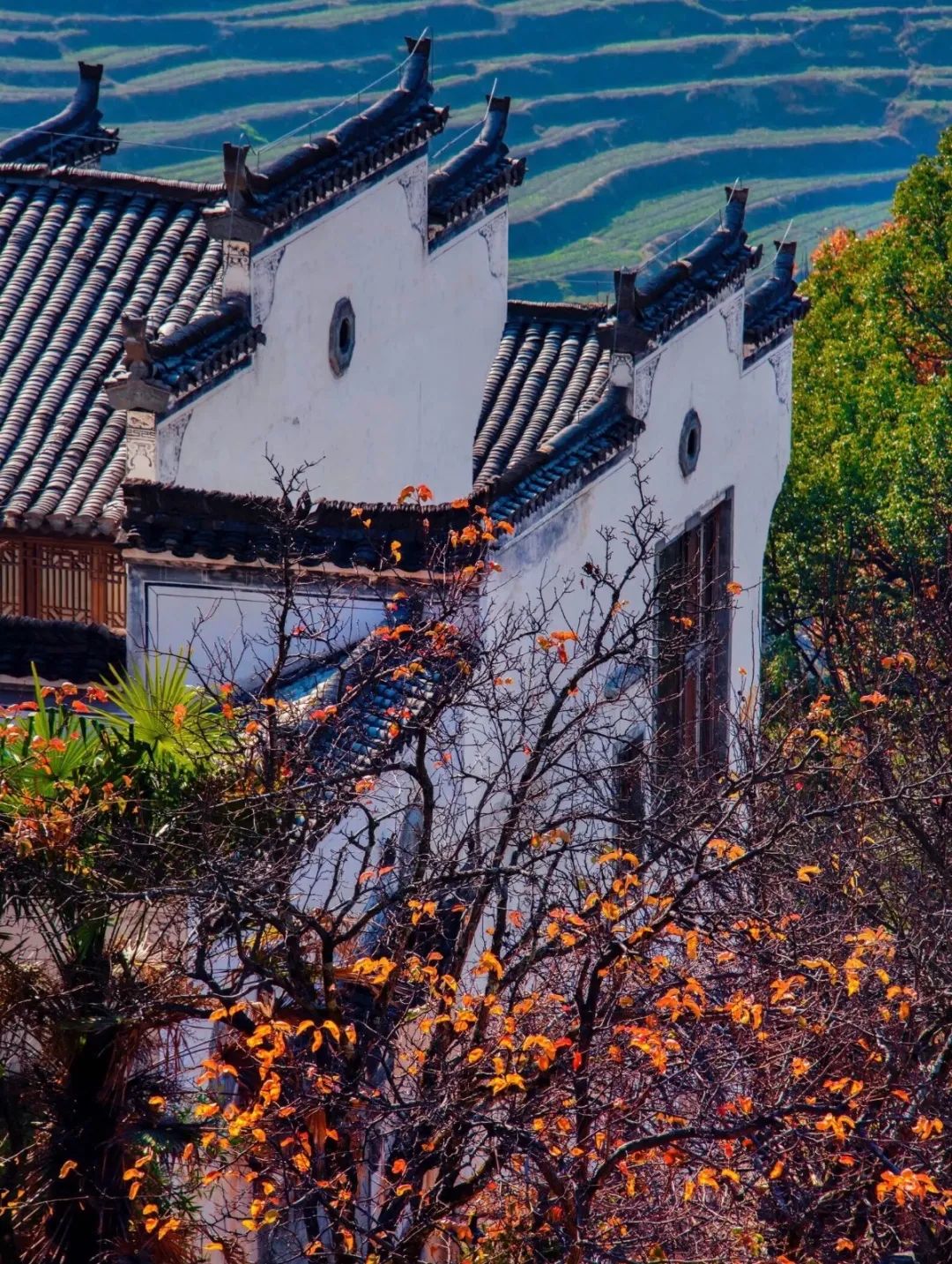 婺源秋天景色_婺源秋色旅游攻略_婺源秋色最佳观赏时间2018