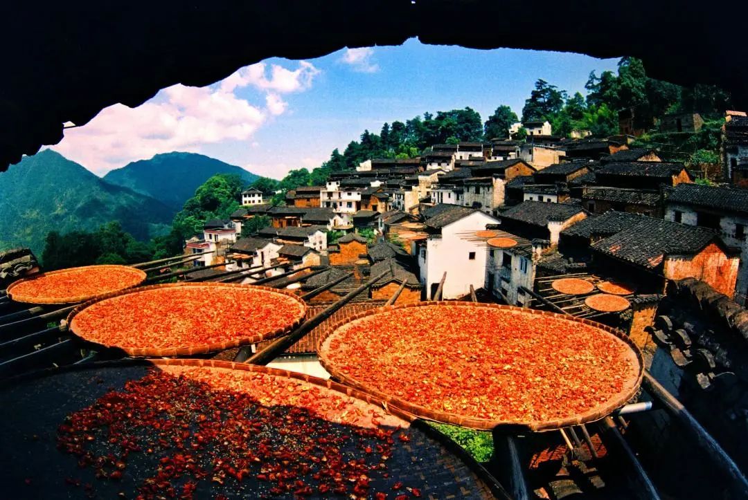 婺源秋色旅游攻略_婺源秋天景色_婺源秋色最佳观赏时间2018