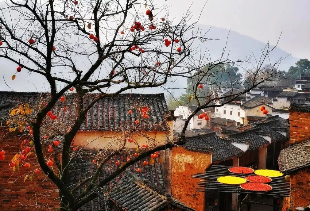 婺源秋色旅游攻略_婺源秋天景色_婺源秋色最佳观赏时间2018