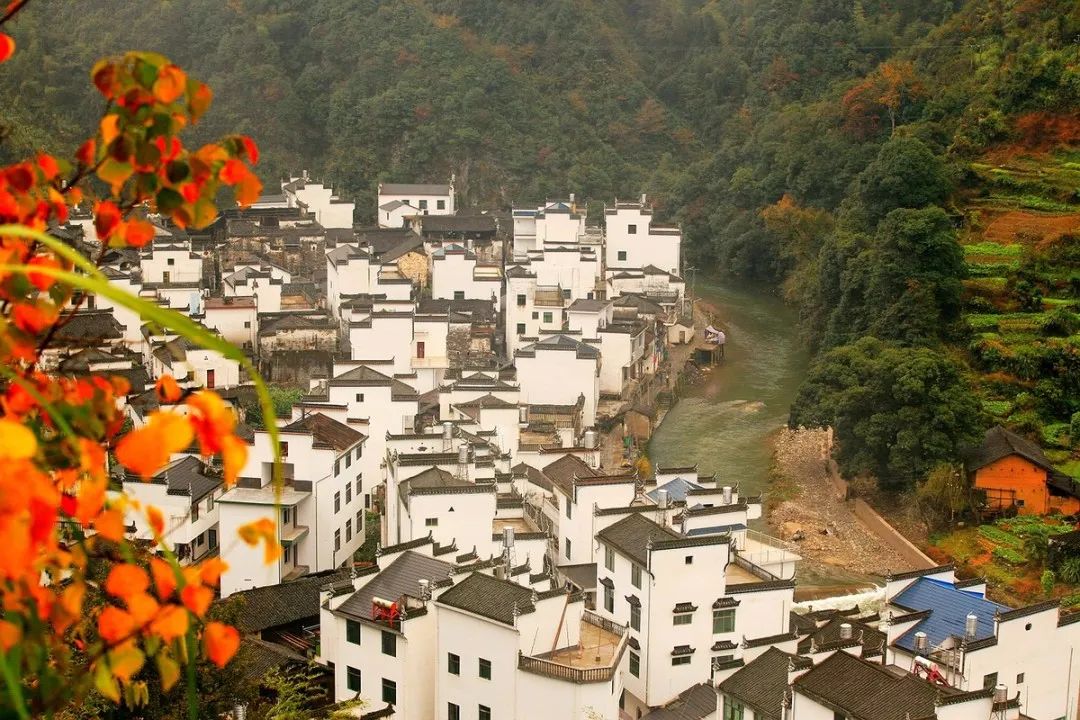 婺源秋色旅游攻略_婺源秋天景色_婺源秋色最佳观赏时间2018